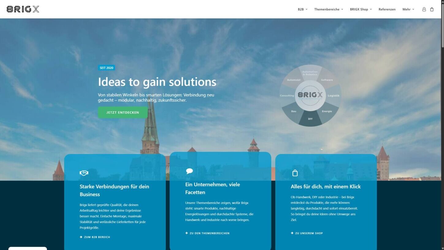 BRIGX: Rebranding, Website, Amazon Store & Ads 35